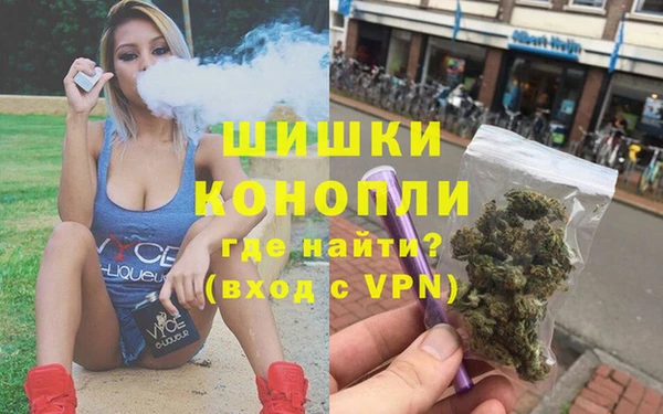 дживик Костерёво