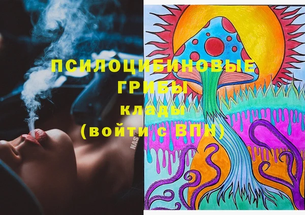 первитин Коряжма