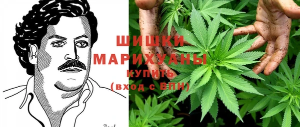 дживик Костерёво