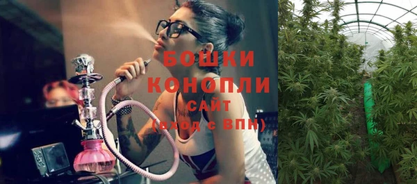 первитин Коряжма