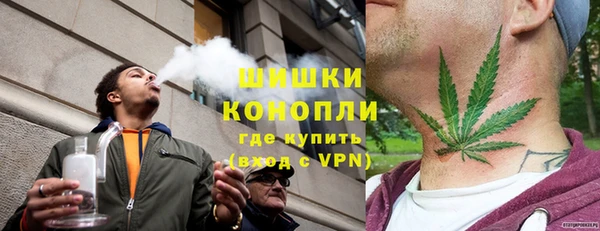 дживик Костерёво