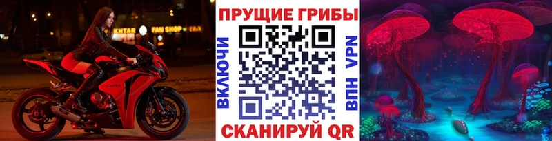 Галлюциногенные грибы MAGIC MUSHROOMS  Купить  Макушино 